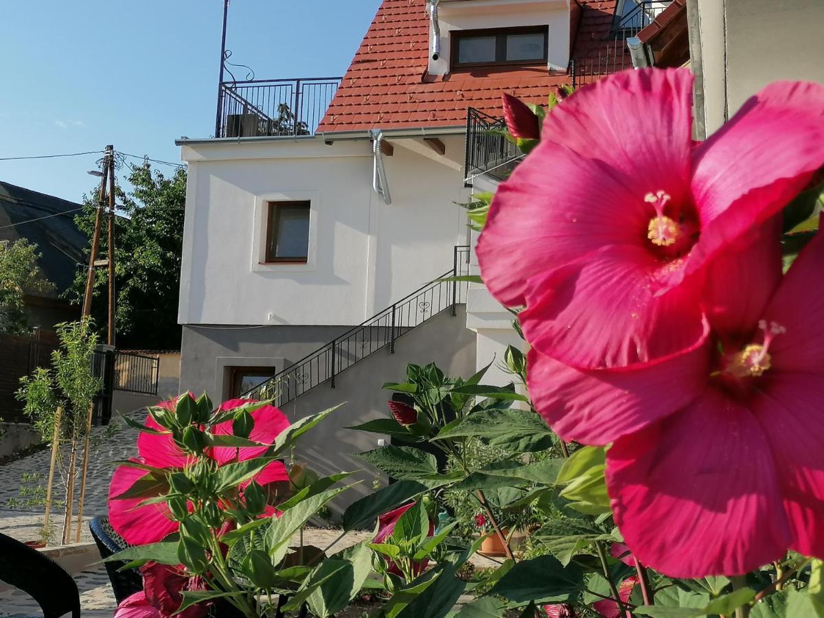Szigligeti Mandula Kert Vendeghaz Apartment Bagian luar foto